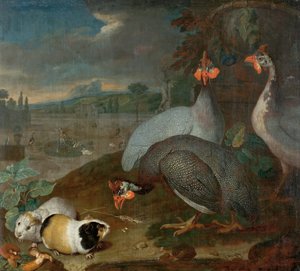 Faraone con porcellino d