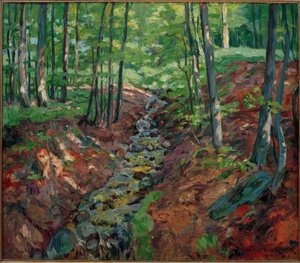 Il Reichenbach nel Taunus da Philipp Franck