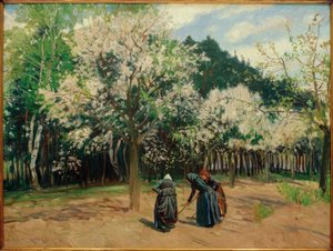 Primavera a Stolpe