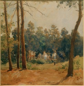 Paesaggio boschivo presso Hartmannshofen