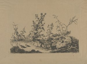 Studio di paesaggio con cardi e rane da Philippe Cardon