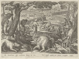 Caccia al cinghiale