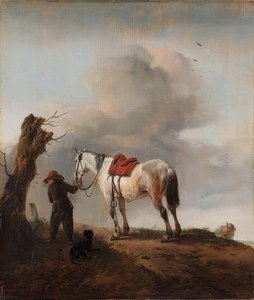Il cavallo bianco da Philips Wouwerman