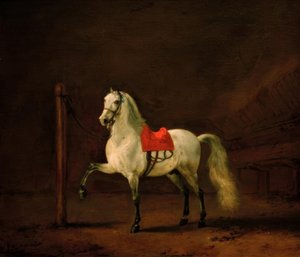 Un cavallo bianco nella stalla da Philips Wouwerman