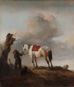 Il cavallo grigio da Philips Wouwerman