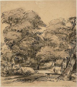 Un sentiero nel bosco
