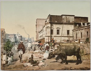 India. Calcutta. Harrison Road I con gruppo di Jogees, da una foto del Dr. Kurt Boeck da Photoglob Co. (Zurich, active c. 1890 1910)