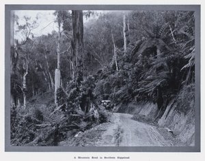 Una strada di montagna nel Gippsland meridionale da Photographer Australian