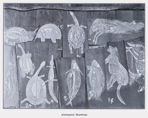 Disegni Aborigeni da Photographer Australian