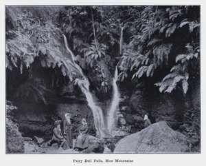 Fairy Dell Falls, Blue Mountains da Photographer Australian
