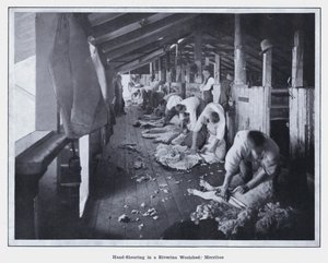 Tosatura a mano in un capannone di lana a Riverina, Merribee da Photographer Australian