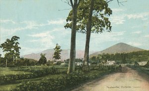 Healesville, Victoria, Australia da Photographer Australian