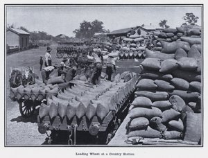 Caricamento del grano in una stazione di campagna da Photographer Australian