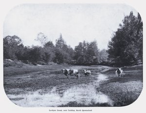 Lockyer Creek, vicino a Laidley, Sud Queensland da Photographer Australian