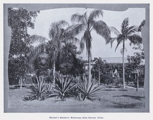 Residenza del direttore, Kamerunga State Nursery, Cairns da Photographer Australian