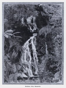 Cascate di Mathinna, Healesville da Photographer Australian