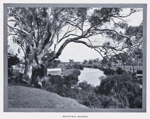 Fiume Mitchell, Bairnsdale da Photographer Australian