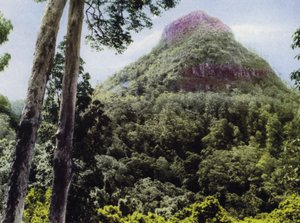 Queensland, Australia: Monte Cordeaux