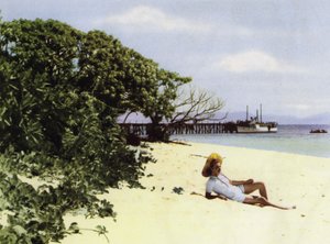Queensland, Australia: La Spiaggia Tropicale