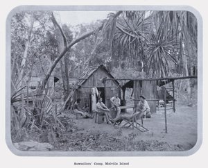 Campo dei Boscaioli, Isola di Melville da Photographer Australian