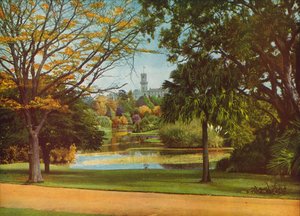  da Photographer Australian