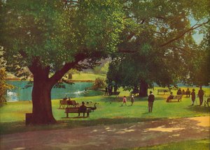  da Photographer Australian