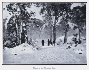 Inverno nelle Alpi Vittoriane da Photographer Australian