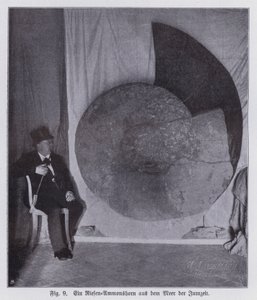 Fossile di un gigantesco ammonite, creatura marina del periodo Giurassico