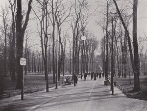 Nel Tiergarten, sentiero degli aceri da Photographer German