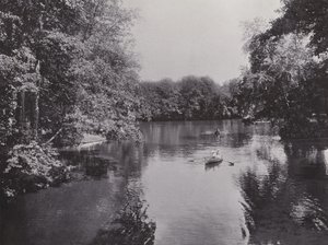 Nel Tiergarten, Neuer See da Photographer German