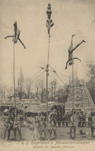 Troupe di acrobati di Malabar di J & G Hagenbeck