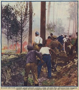 Contadini e soldati che combattono un incendio nella Foresta Nera, Germania da Photographer German