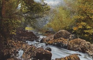 Irlanda: Nel Dargle, Contea di Wicklow da Photographer Irish