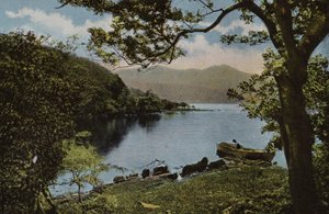 Irlanda del Sud: A Innisfallen, Killarney da Photographer Irish