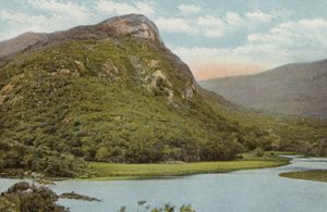 Irlanda del Sud: Il Nido dell