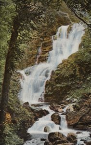 Irlanda del Sud: Cascata di Torc, Killarney