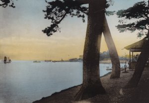 Maiko vicino a Kobe
