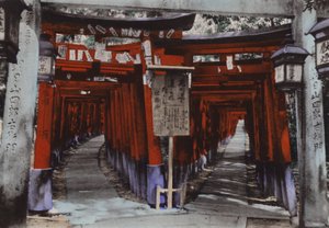 Giappone, c.1912: Viali di Torii, Santuario di Fushimi vicino a Kyoto