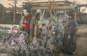 Donne giapponesi con piante di glicine da Photographer Japanese