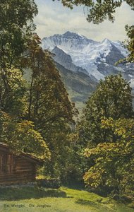 Wengen, Svizzera (foto a colori) da Photographer Swiss