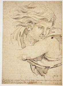 Testa di un angelo; dopo Raffaello da Pier Leone Ghezzi