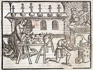 Medicina attraverso le piante e le loro virtù - in Des profits champêtres et ruraux di Pierre de Crescent, Parigi da Piero da Crescentino