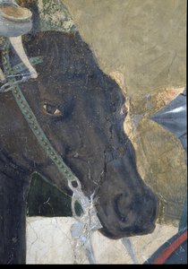 La leggenda della Vera Croce (dettaglio della testa dei cavalli)
