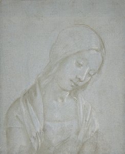 Busto di una giovane donna, ca. 1495