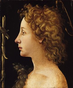 Il Giovane San Giovanni Battista da Piero di Cosimo