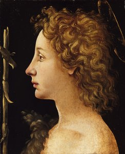 Il Giovane San Giovanni Battista da Piero di Cosimo