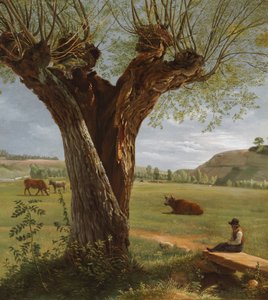 Salice capitozzato, dopo il 1804