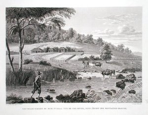 Nuovo Galles del Sud, Nuova Olanda: Vista del fiume Cox a ovest delle Blue Mountains, da 