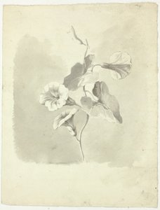Glorie del mattino da Pierre Antoine Mongin