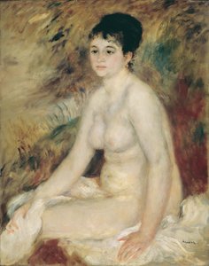 Dopo il bagno da Pierre Auguste Renoir